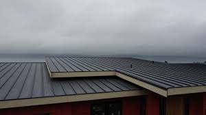 Professional Roofing services in Indian Mountain Lake, PA